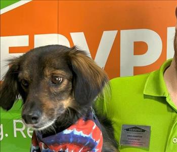 SERVPRO of South Albuquerque employee